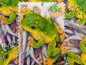 Issue:      Australia Magnificent Tree Frog 1999 Stamp Type:       Stamp Number of Stamps:        7 Denominations:         45 c, Issue Date:        1999 Issued By:      Australia Post
