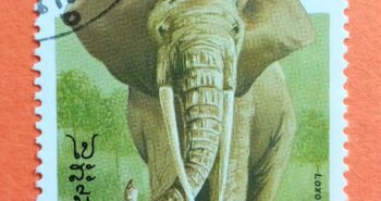 Issue:        Laos African Elephant 1997 Stamp Type:       Stamp Number of Stamps:         1 Denominations:           550 K, Issue Date:       1997 Issued By:       Laos Post 
