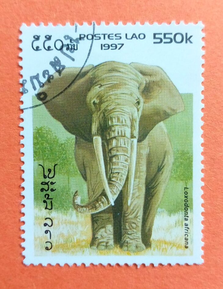 Issue:        Laos African Elephant 1997 Stamp Type:       Stamp Number of Stamps:         1 Denominations:           550 K, Issue Date:       1997 Issued By:       Laos Post 