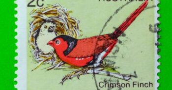 Issue:      Australia Crimson Finch 1979 Stamp Type:       Stamp Number of Stamps:        3 Denominations:         2 c, Issue Date:        1979 Issued By:      Australia Post 