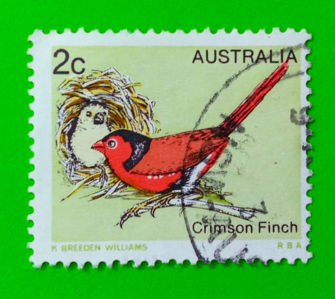 Issue:      Australia Crimson Finch 1979 Stamp Type:       Stamp Number of Stamps:        3 Denominations:         2 c, Issue Date:        1979 Issued By:      Australia Post 