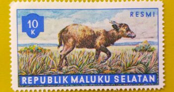 Issue:      Republic of South Maluku Mountain anoa 10k 1955 Stamp Type:      Stamp Number of Stamps:        1 Stamps Denomination:        10 K,   Issue Date:       1955 Issued By:      Indonesia post 