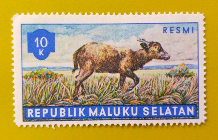 Issue:      Republic of South Maluku Mountain anoa 10k 1955 Stamp Type:      Stamp Number of Stamps:        1 Stamps Denomination:        10 K,   Issue Date:       1955 Issued By:      Indonesia post 