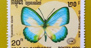 Issue:        Cambodia (Tysonotis Danis) Butterfly 1990 Stamp Type:      Stamp Number of Stamps:          1 Denominations:           20 R, Issue Date:           1990 Issued By:      Cambodia Post 