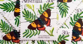 Issue:      Australia Chlorinda Hairstreak 1983 Stamp Type:       Stamp Number of Stamps:        12 Denominations:         30 c, Issue Date:        1983 Issued By:      Australia Post 