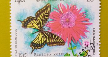 Issue:        Cambodia Papilio Xuthus (Asian swallowtail) Butterfly 1991 Stamp Type:      Stamp Number of Stamps:         1 Denominations:          25 R, Issue Date:         1991 Issued By:      Cambodia Post 