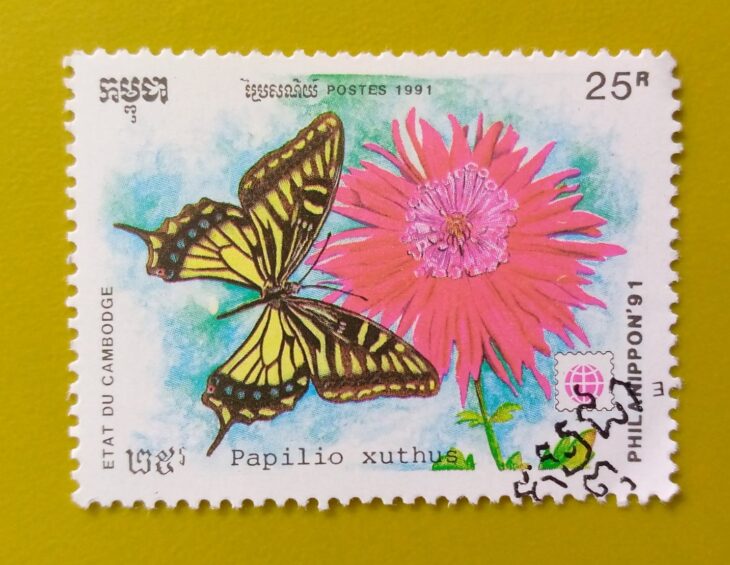 Issue:        Cambodia Papilio Xuthus (Asian swallowtail) Butterfly 1991 Stamp Type:      Stamp Number of Stamps:         1 Denominations:          25 R, Issue Date:         1991 Issued By:      Cambodia Post 