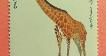 Issue:     Poland Giraffe 1972 Stamp Type:     Stamp Number of Stamps:       1 Stamps Denomination:         40 Gr, Issue Date:        1972 Issued By:     Poland POST 