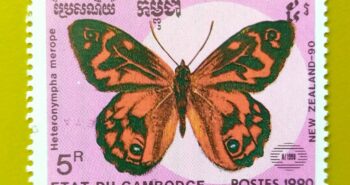 Issue:        Cambodia (Heteronympha Merope) Butterfly 1990 Stamp Type:      Stamp Number of Stamps:          1 Denominations:           5 R, Issue Date:           1990 Issued By:      Cambodia Post 