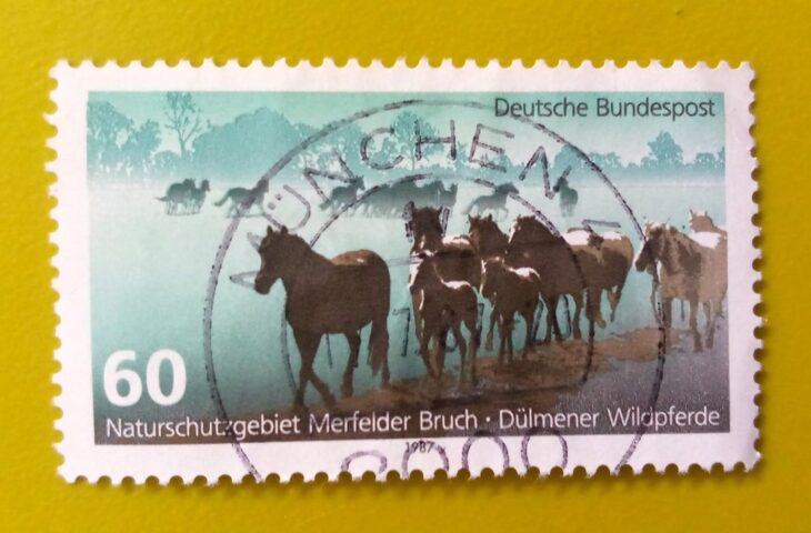 Issue:        Germany Merfelder Bruch Nature Reserve Dülmener Wild horses 1987 Stamp Type:       Stamp Number of Stamps:         1 Denominations:          60  PF, Issue Date:          1987 Issued By:       Germany Deutsche Post ( Deutschland ) 