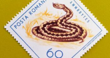 Issue:       Romania Vipera Ammodytes (Horned Viper) 1965 Stamp Type:        Stamp Number of Stamps:        1 Stamps Denomination:        60 Bani, Issue Date:          1965 Issued By:      Romania Post 