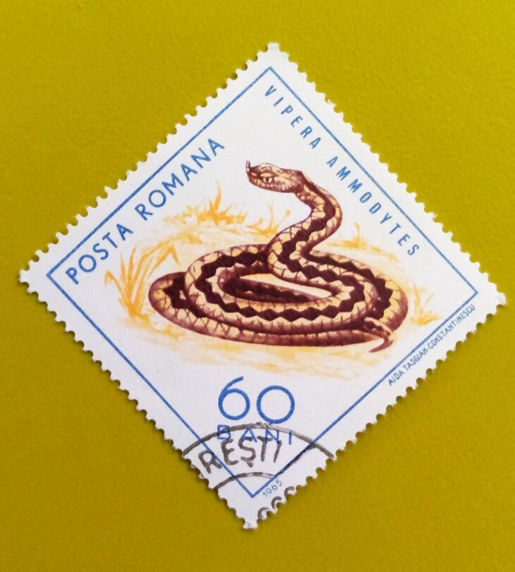 Issue:       Romania Vipera Ammodytes (Horned Viper) 1965 Stamp Type:        Stamp Number of Stamps:        1 Stamps Denomination:        60 Bani, Issue Date:          1965 Issued By:      Romania Post 