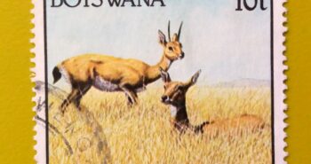 Issue:        Botswana Oribi 1992 Stamp Type:     Stamp Number of Stamps:       1 Stamps Denomination:        10 T, Issue Date:        1992 Issued By:    Botswana Post 