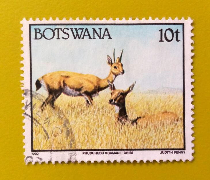 Issue:        Botswana Oribi 1992 Stamp Type:     Stamp Number of Stamps:       1 Stamps Denomination:        10 T, Issue Date:        1992 Issued By:    Botswana Post 