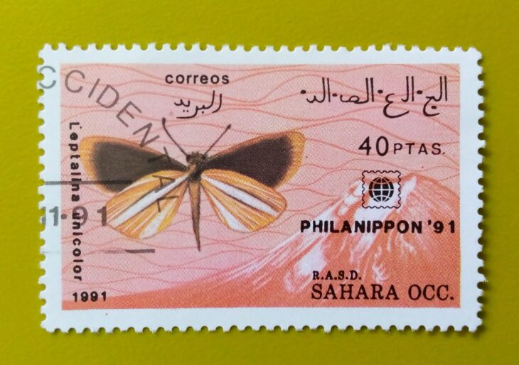 Issue:       West Sahara OCC. R.A.S.D. Butterflies 1991 Stamp Type:      Stamp Number of Stamps:        1 Stamps Denomination:        40  PTAS, Issue Date:        1991  Issued By:      Sahrawi Arab Democratic Republic Post 