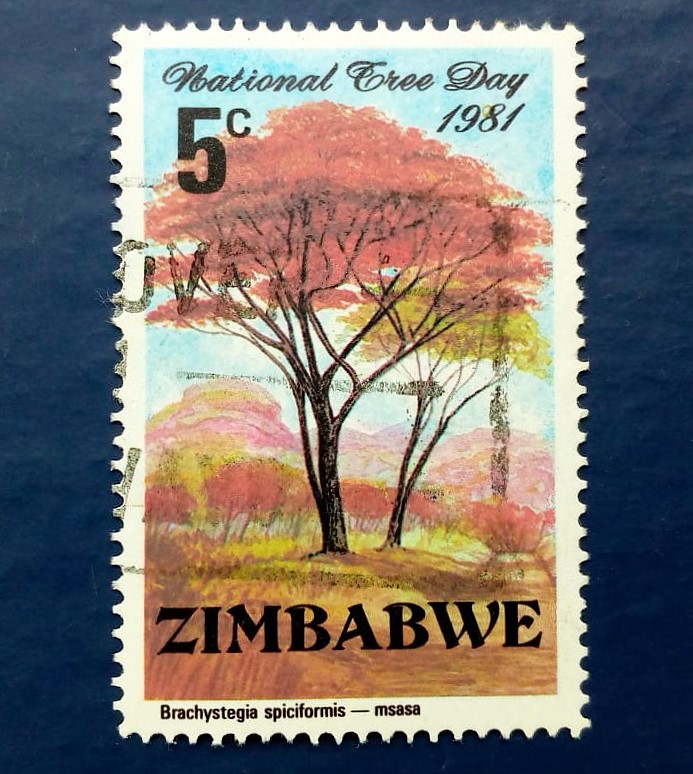 Issue:     Zimbabwe (Brachystegia Spiciformis) National Tree Day 1981 Stamp Type:     Stamp Number of Stamps:      1 Denominations:      5C,  Issue Date:       1981 Issued By:      Zimbabwe Post,