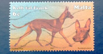 Issue:     Malta Pharaoh Hound Dog 2001 Stamp Type:      Stamp Number of Stamps:      1 Stamps Denomination:       6 C, Issue Date:      2001 Issued By:     Malta Post 
