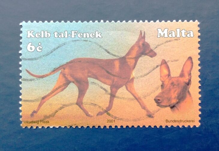 Issue:     Malta Pharaoh Hound Dog 2001 Stamp Type:      Stamp Number of Stamps:      1 Stamps Denomination:       6 C, Issue Date:      2001 Issued By:     Malta Post 
