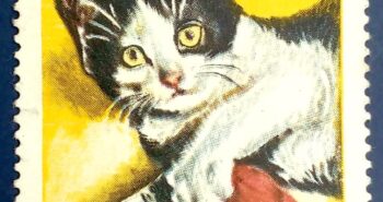Issue:      Poland 1965 European Cat 60 Bani Stamp Type:      Stamp Number of Stamps:        1  Stamps Denomination:      60 BANI Issue Date:       1965 Issued By:     Poland POST 