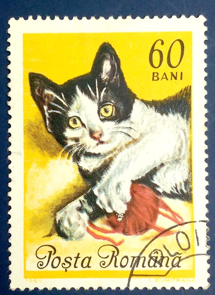 Issue:      Poland 1965 European Cat 60 Bani Stamp Type:      Stamp Number of Stamps:        1  Stamps Denomination:      60 BANI Issue Date:       1965 Issued By:     Poland POST 