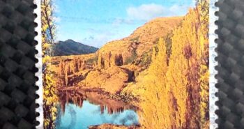 Issue:       New Zealand Lake Wanaka 1996 Stamp Type:       Stamp Number of Stamps:       1 Stamps Denomination:        60 C, Issue Date:        1996 Issued By:       New Zealand POST 