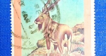 Issue:     Pakistan Markhor 1988 Stamp Type:     Stamp Number of Stamps:     1 Stamps Denomination:      2 Rs Issue Date:      1988 Issued By:     Pakistan POST 