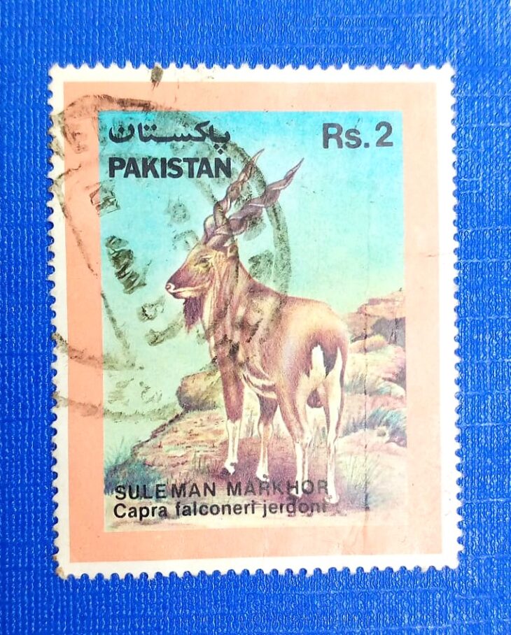 Issue:     Pakistan Markhor 1988 Stamp Type:     Stamp Number of Stamps:     1 Stamps Denomination:      2 Rs Issue Date:      1988 Issued By:     Pakistan POST 