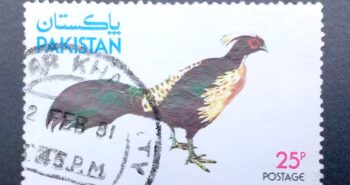 Issue:     Pakistan Pheasants (Rare) Bird 1979 Stamp Type:     Stamp Number of Stamps:      1 Stamps Denomination:       25 p, Issue Date:      1979 Issued By:   Pakistan POST 