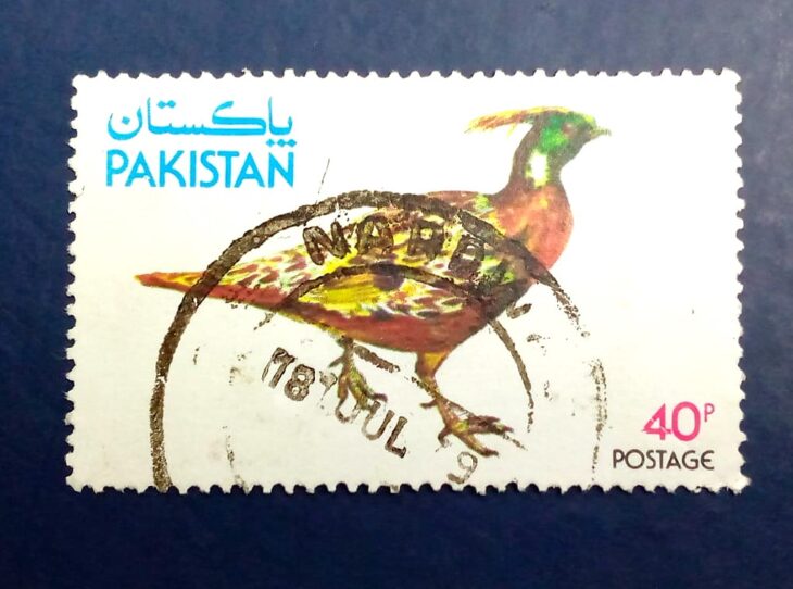 Issue:       Pakistan Western tragopan ( Tragopan melanocephalus ) Stamp Type:      Stamp Number of Stamps:        1 Stamps Denomination:       40P, Issue Date:         1981 Issued By:     Pakistan POST 