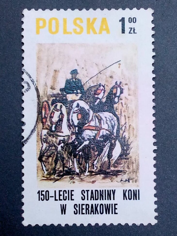 Issue:      Poland 150th Anniversary Of The Sierakow Horse Farm Series 1980 Stamp Type:      Stamp Number of Stamps:        1  Stamps Denomination:         1 ZL, Issue Date:       1980 Issued By:      Poland POST 