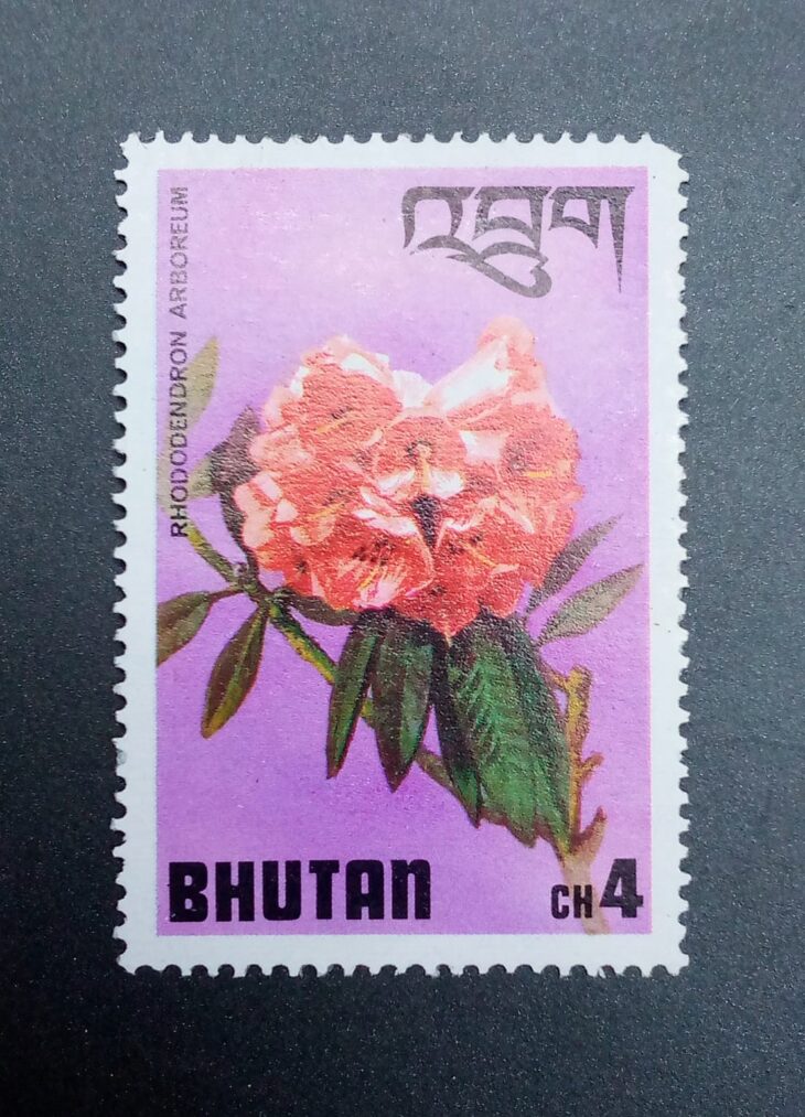 Issue:     Bhutan Rhododendron Arboreum 1976 Stamp Type:     Stamp Number of Stamps:       1 Denominations:       4 CH, Issue Date:        1976 Issued By:     Bhutan Post 